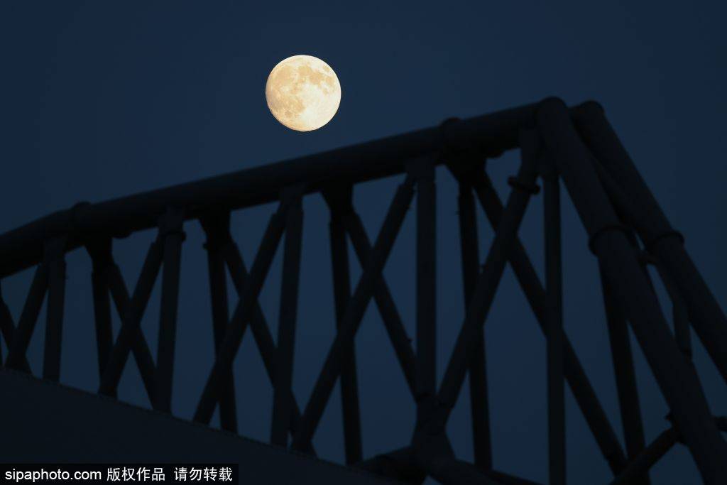 泰勒·莫顿:从红军小将到法甲新星的心路历程,英超冠军的光辉与沮丧交织